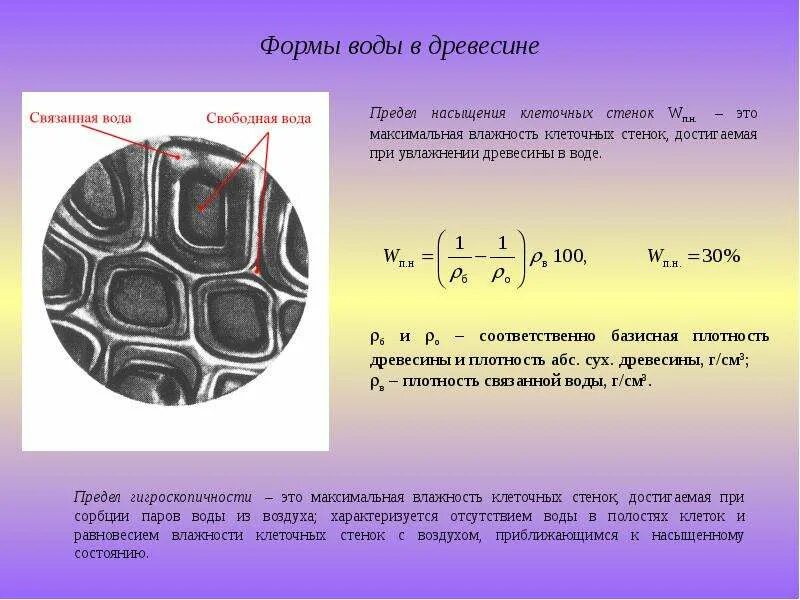 Предел насыщения клеточных стенок. Формы воды в древесине. Предел гигроскопичности древесины. Свободная и связанная вода в древесине.