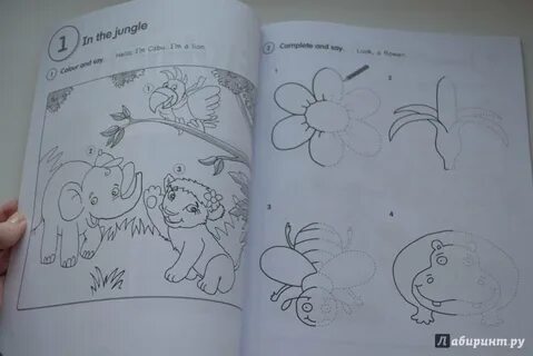 Fly high 1 activity book