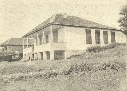 Барсуки школа 1