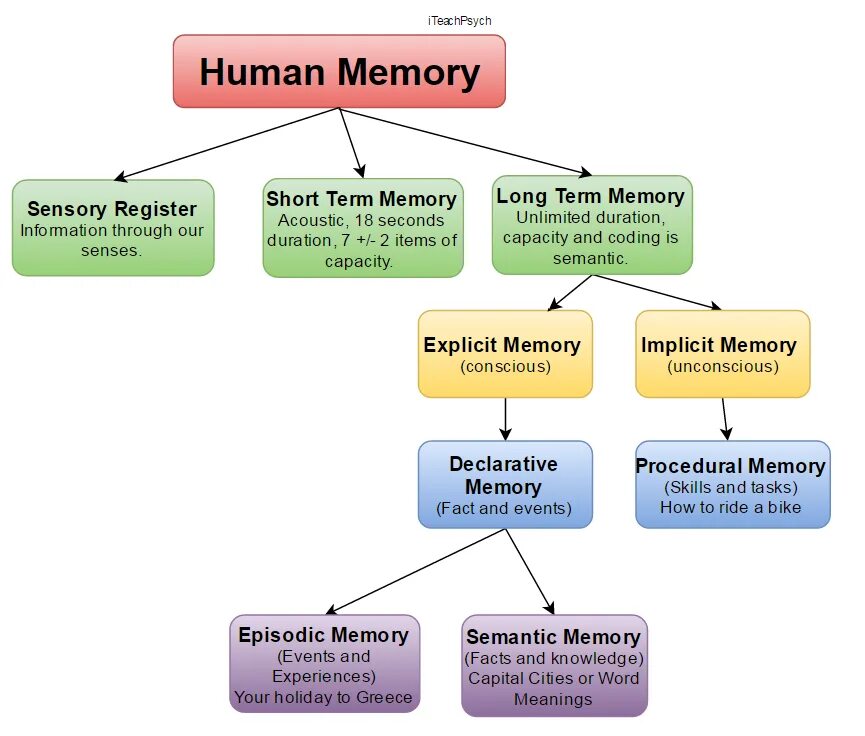 Human Memory. Types of Memory. Main Types of Human Memory. Memory in Psychology. Human types