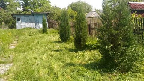 Гарь покровском