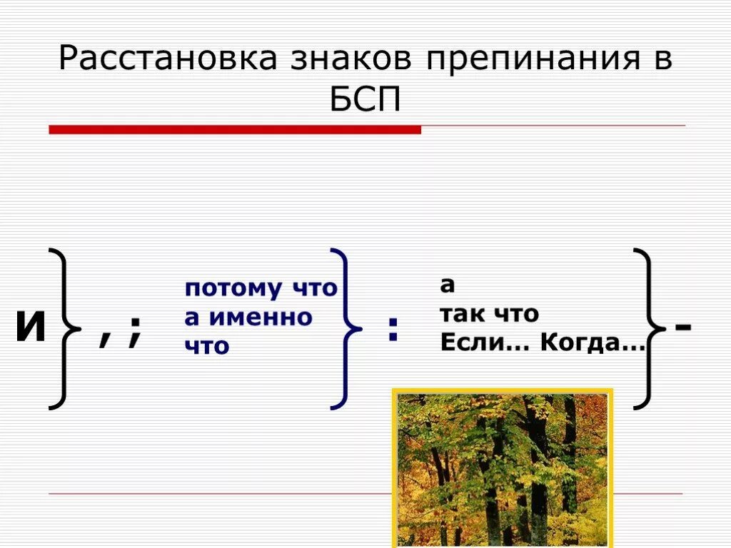 Расстановка знаков препинания в БСП. А именно знаки препинания. А именно знак припенания. А именно пунктуация. Бессоюзное предложение а именно