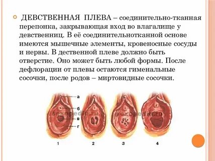 Девственная плева