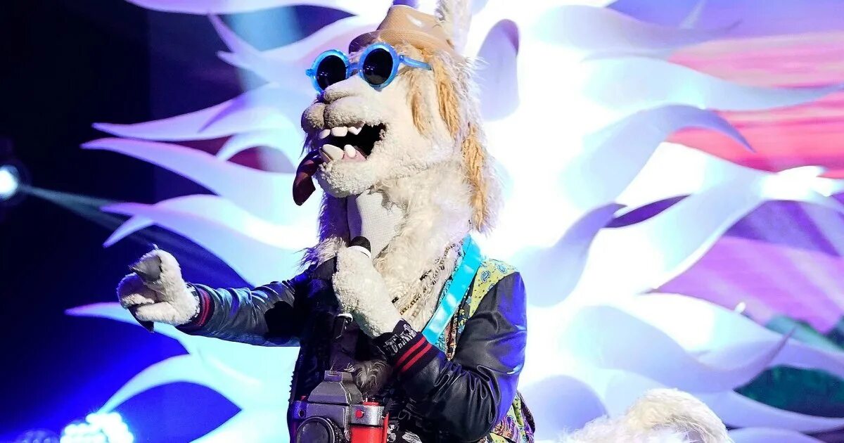 Лама все выступления. The masked singer шоу. шоу маска единорог the masked singer. the masked singer лама. the masked singer заяц.