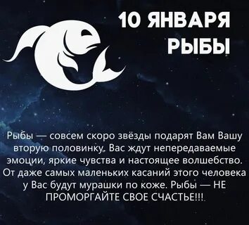 Гороскоп рыба кот