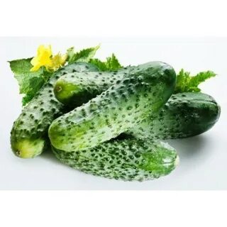 Г огурец свежий 1