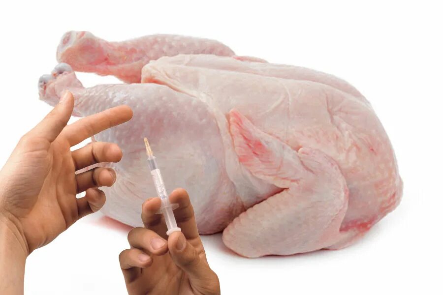 Курица мясо. Курица целая. Антибиотики в курином мясе.