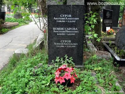 Суров википедия