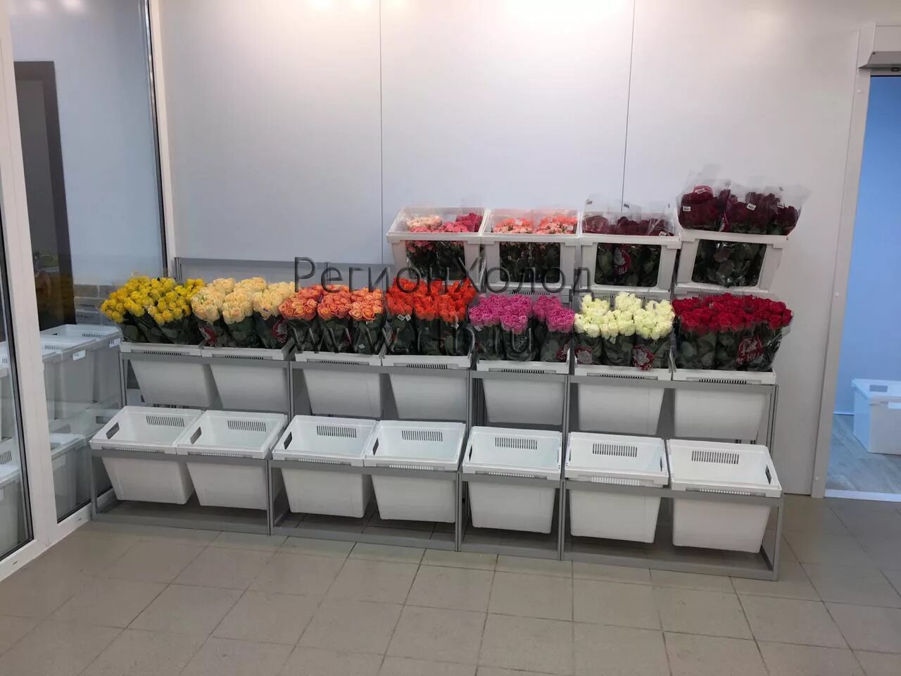 Витрина для цветов. Холодильник в цветочном магазине. Холодильная камера для цветов. Хранение цветов в холодильнике. Холодильники для цветов витрина.