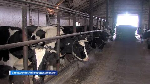 Погода новая заимка тюменская область