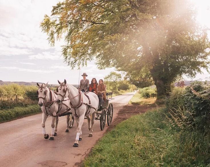 Go on to the countryside. Countryside holidays. holidays in the countryside. reliable carriage by road красивое фото. the girls insisted going to the countryside.