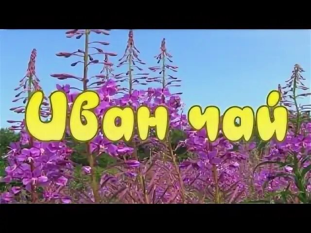 360 без мата