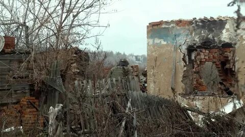 Бои артемовский