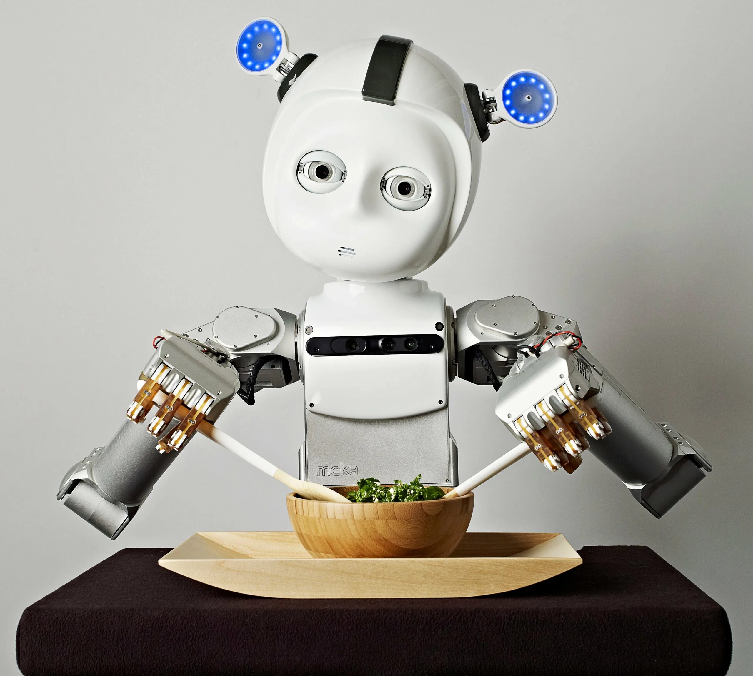 Robot lives