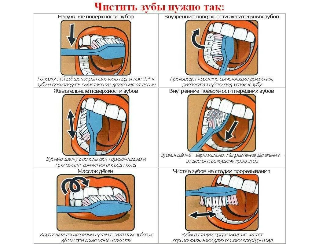 Можно чистить зубы при посте. Схема правильной чистки зубов. Правельна схема чистки зубов. Как правильно чистить зубы. Правильная чистка зубов.