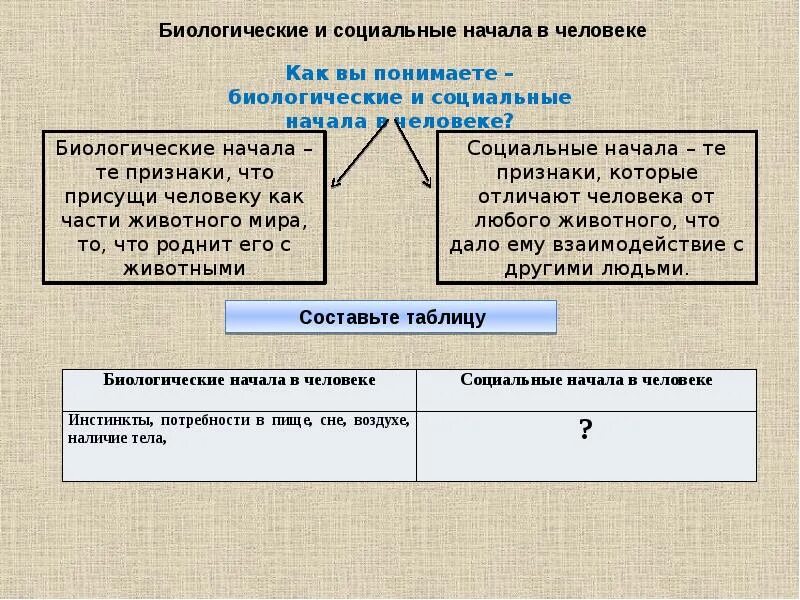 Определение биологическое и социальное человека. Социальные начала в человеке. биологическое и социальное в человеке. биологические и социальные признаки человека. биологическое и социальное начало в человеке.