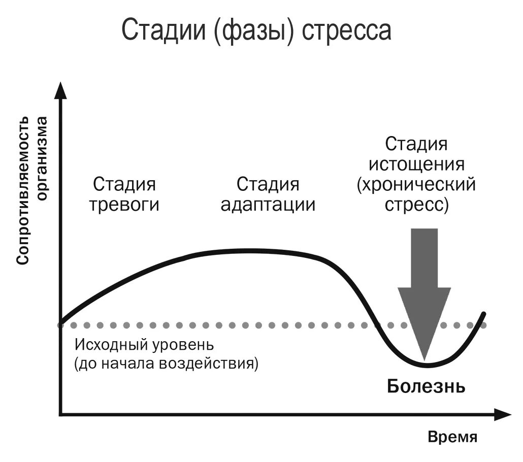 Три стадии стресса Ганса Селье. Стадии развития стресса Селье. Стресс Ганс Селье 3 фазы. Стадии стресса по Гансу Селье.