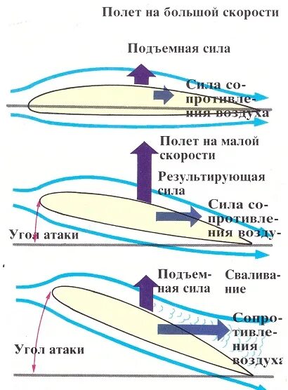 Почему птицы умеют летать. Почему летает самолет. Подвижные части крыла самолета. Почему летает самолет. Форма крыла самолета.