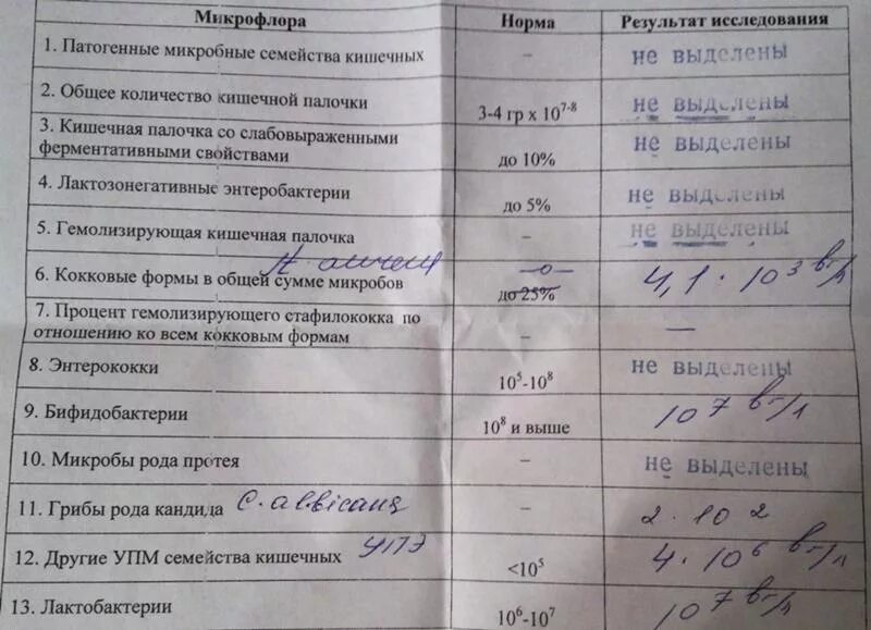 Мокрота в какую лабораторию. Анализ мокроты при инфильтративном туберкулезе. Анализ мокроты на микобактерии туберкулеза норма. Общий анализ мокроты туберкулез. Анализ мокроты при пневмонии показатели.