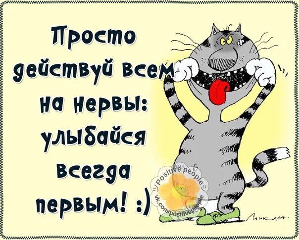 Улыбайся врагу. Всегда улыбайся. всегда улыбайся врагов побесишь. всегда улыбайся себе жизнь. всегда улыбайся картинки.