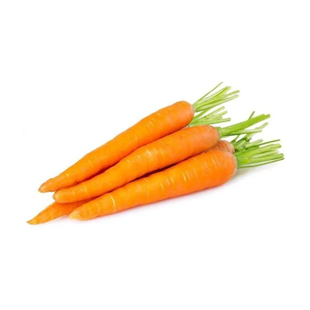 Купить морковь оптом. Длинная морковь. 1 Морковка. Капуста, морковь, яблоко, апельсин, петрушка, лук. Carrots v 1.