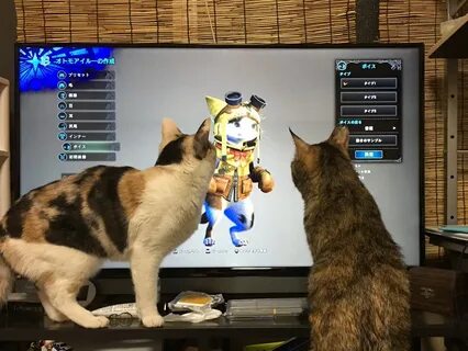 Кот создавать игры
