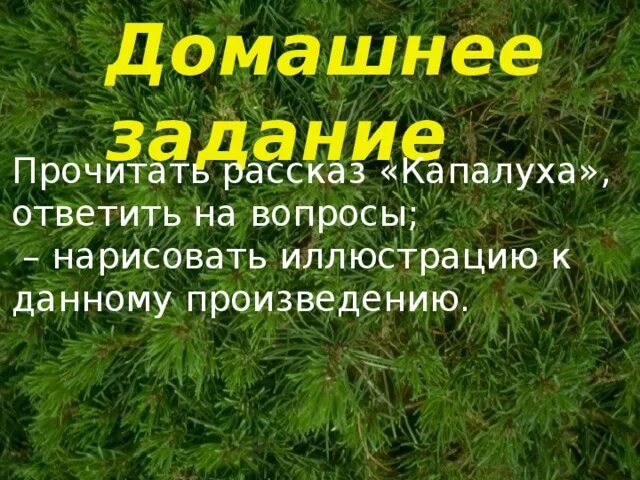 Составить план рассказа капалуха 3 класс. Капалуха Астафьев. Вопросы по рассказу Капалуха. Рассказ Капалуха. Астафьев Капалуха 3 класс.