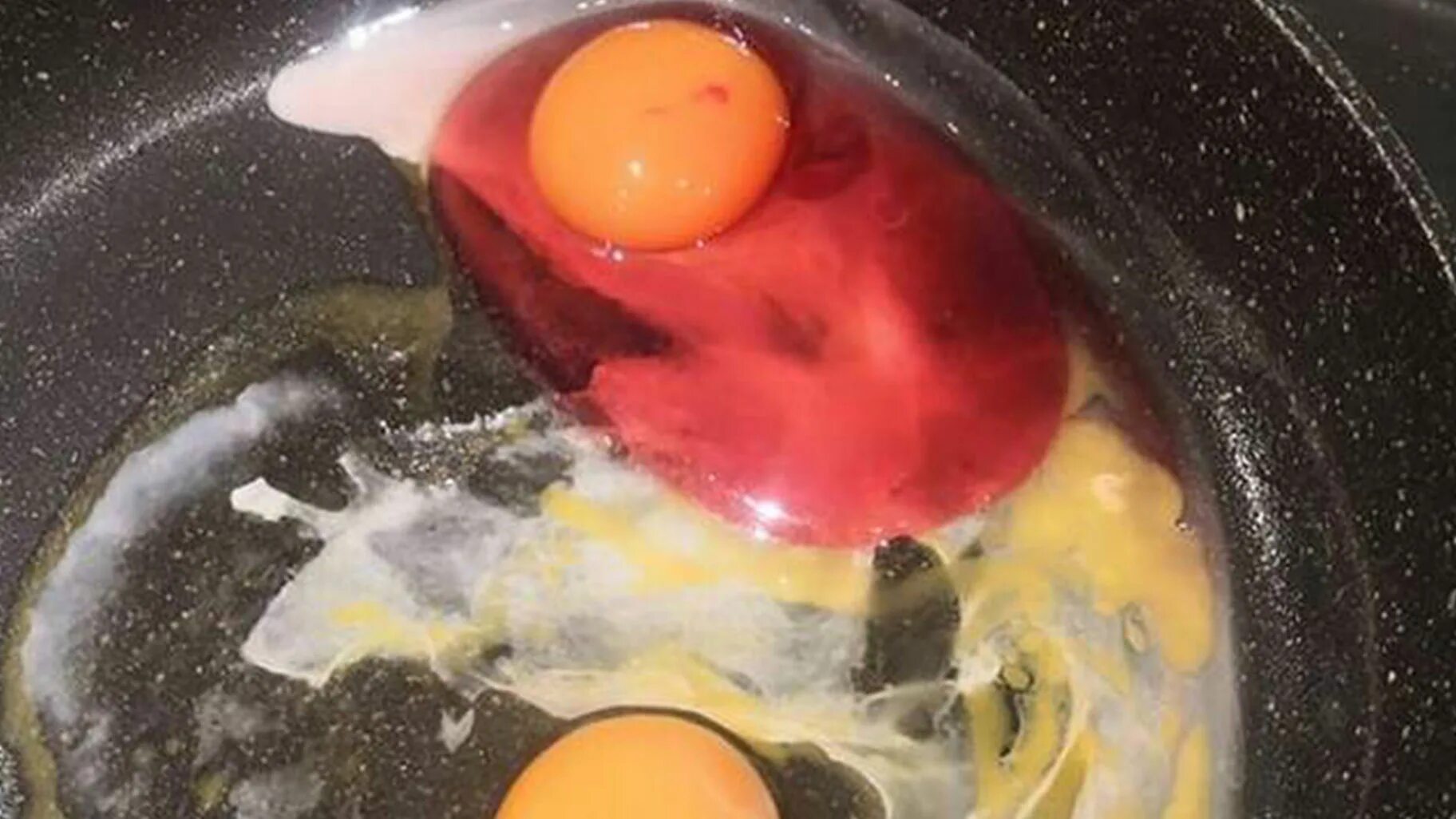 Яйцо внутри болтается