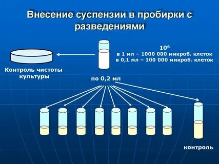 Разведение 1 1