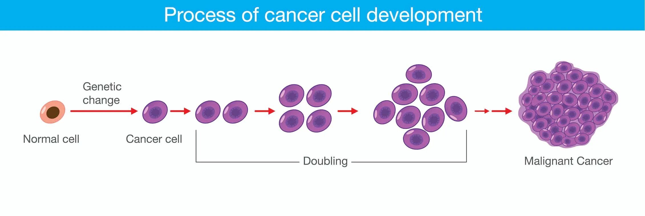 Cell processing
