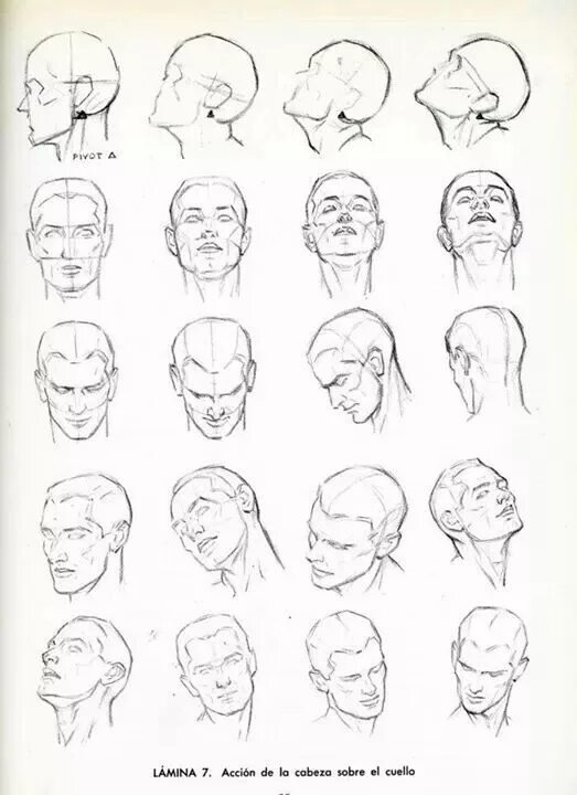 Рисование головы в разных ракурсах. Голова человека в разных ракурсах. Ракурсы головы для рисования. Рисование лица в разных ракурсах. Референс головы человека