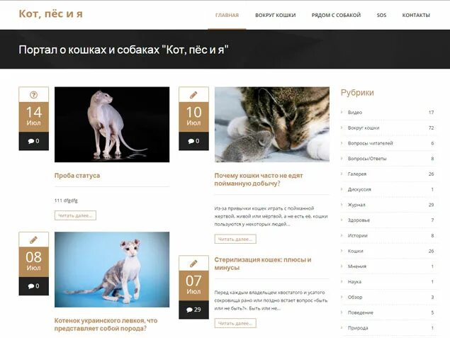 Кот и пес магазин зоотоваров. Кот и пес интернет магазин. Вывеска для магазина зоотоваров. Пес и кот, зоомаркет. Кот и пес магазин.