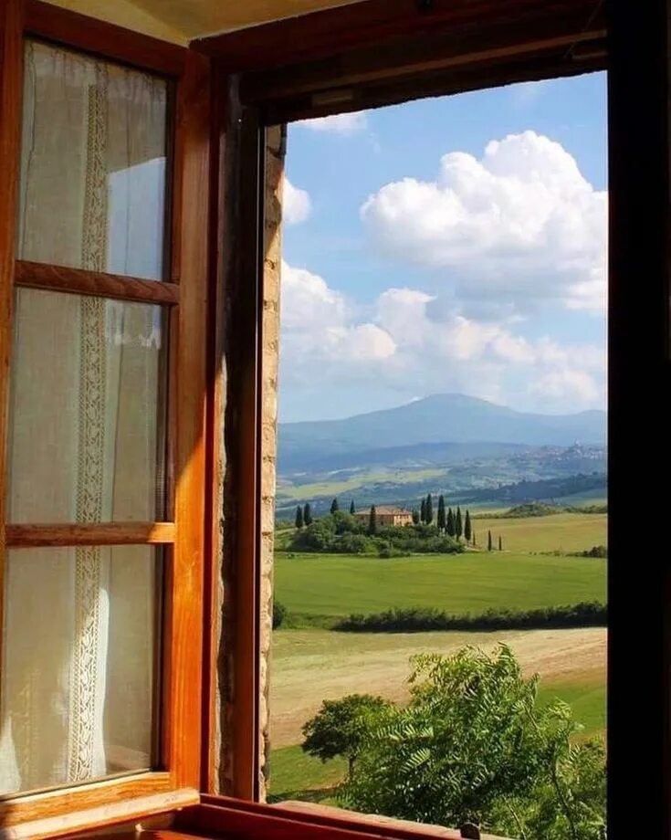 Windows view