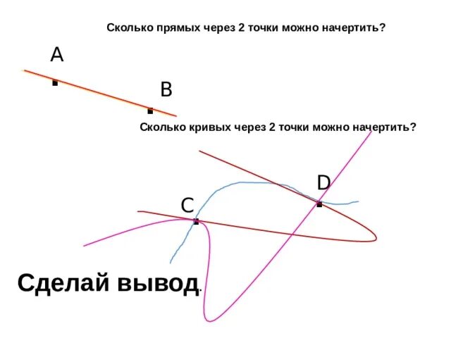 Сколько прямых через 1 точку. Сколько кривых линий можно провести через две точки. Прямая линия через 2 точки. Через две точки провести кривую линию. Сколько прямых линий можно провести через 2 точки.