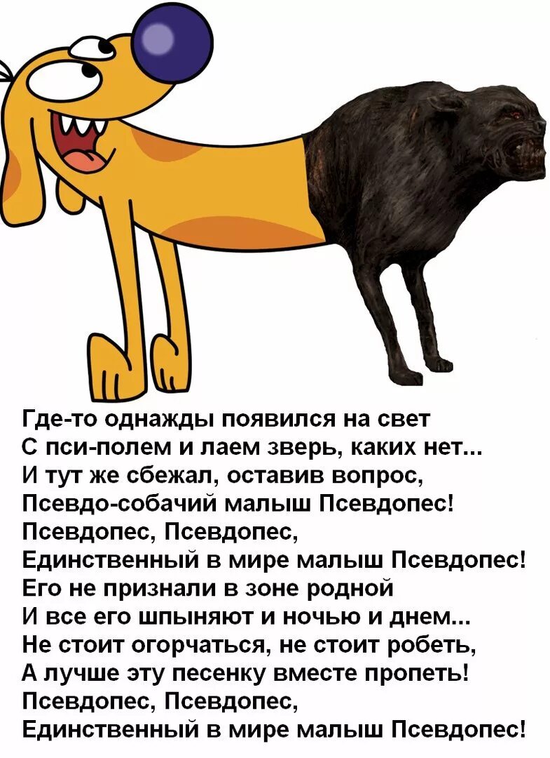 Единственный малыш котопес. Котопес текст. песенка котопес. котопёс текст песни. котопес мультик.