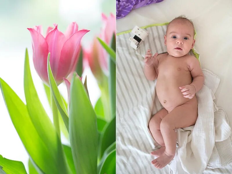 Погода в санкт-петербургепе. 3 месяца в санкт петербурге. 3 месяца в санкт петербурге. 3 месяца в санкт петербурге. Григорию 3 месяца.