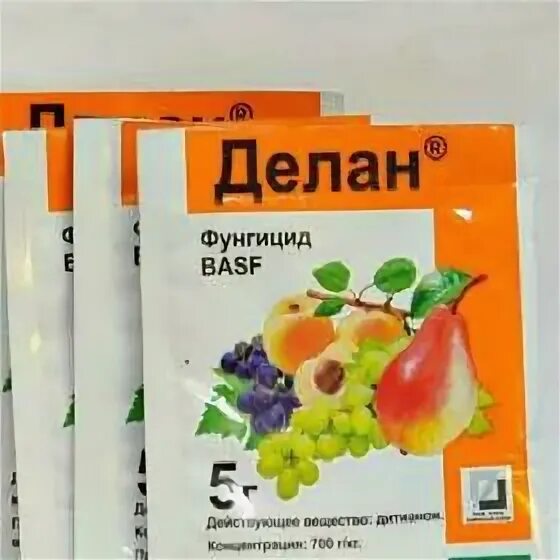 крымский дачник.