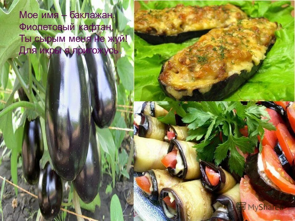 Баклажан длинный фиолетовый седек. Семена алтая баклажаны. Семена фирмы партнер фиолетовое чудо. Баклажан улыбка негра 0,2г семена алтая. Загадка про баклажан для детей.