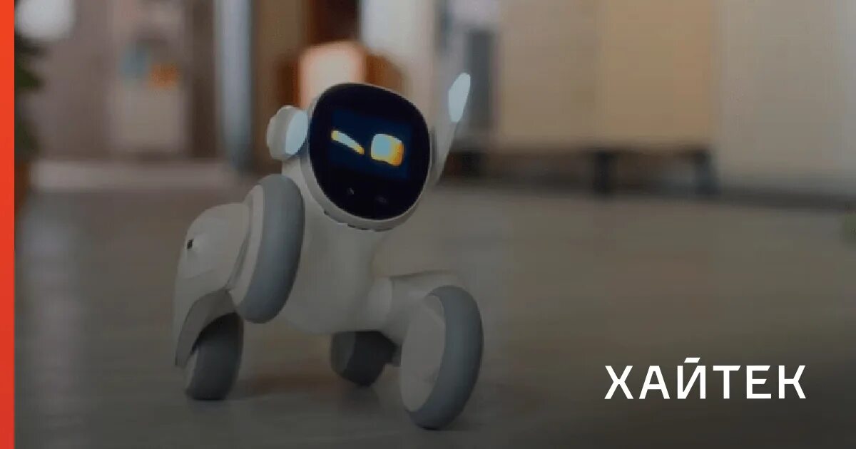 Loona robot