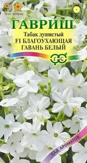 Белоснежный душистый