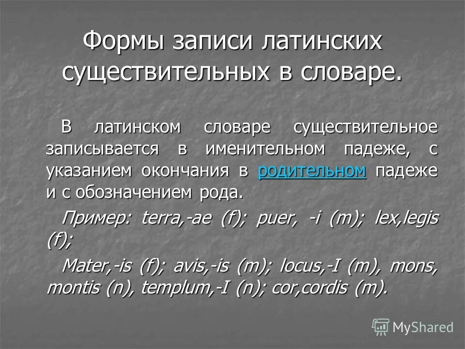 Общество с латинского перевод