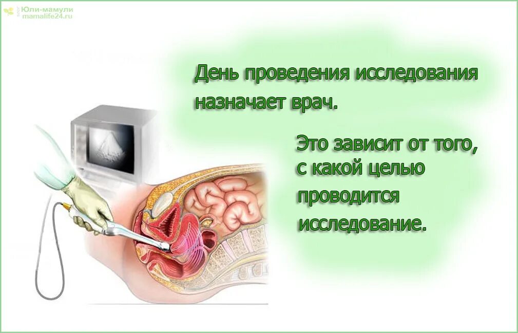 Узи матки таблица размеры Миома 21 ответов форум Babyblog