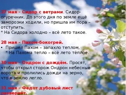 Мокро 24