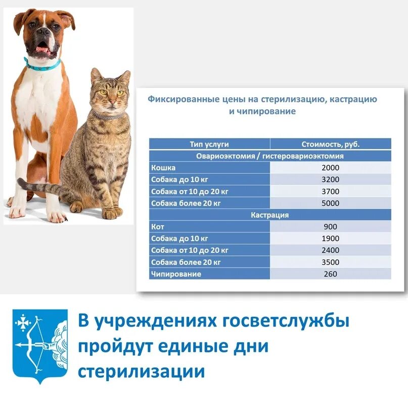 Всемирный день стерилизации. День стерилизации домашних животных. Всемирный день стерилизации домашних животных. Всемирный день кастрации и стерилизации животных.