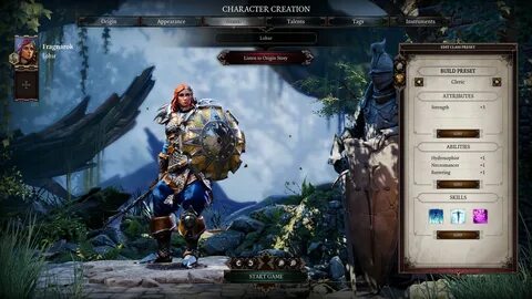 Divinity original sin 2 билд некроманта