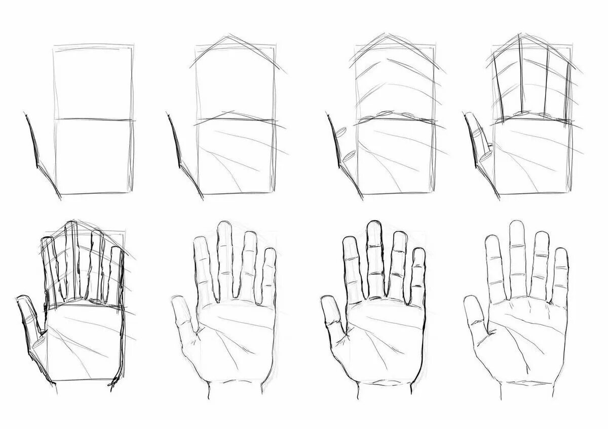 Включи сами начинают руки рисовать. Этапы рисования рук. Поэтапное рисование рук. Этапы рисования кисти рук. Туториал по рисованию рук.