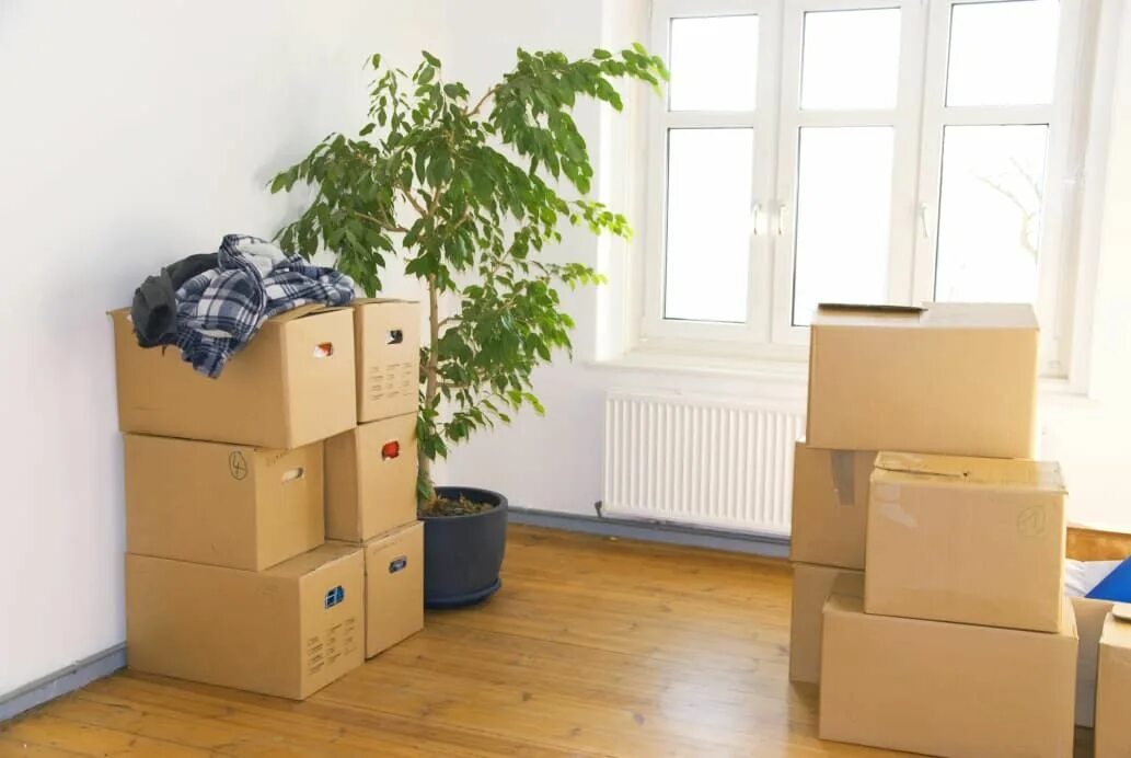 Дешево переехать. Комната с коробками. Коробки в квартире. Коробки в комнате. Квартира коробка.