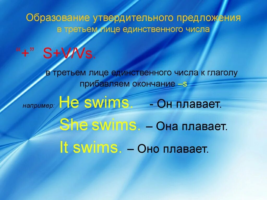 Глагол стою в 3 лице единственного числа. Swim в третьем лице единственного числа. Swim 3 лицо единственное число. Утвердительное предложение в 3 лице единственного числа к глаголам. Глагол Swim в единственном числе 3 лице.