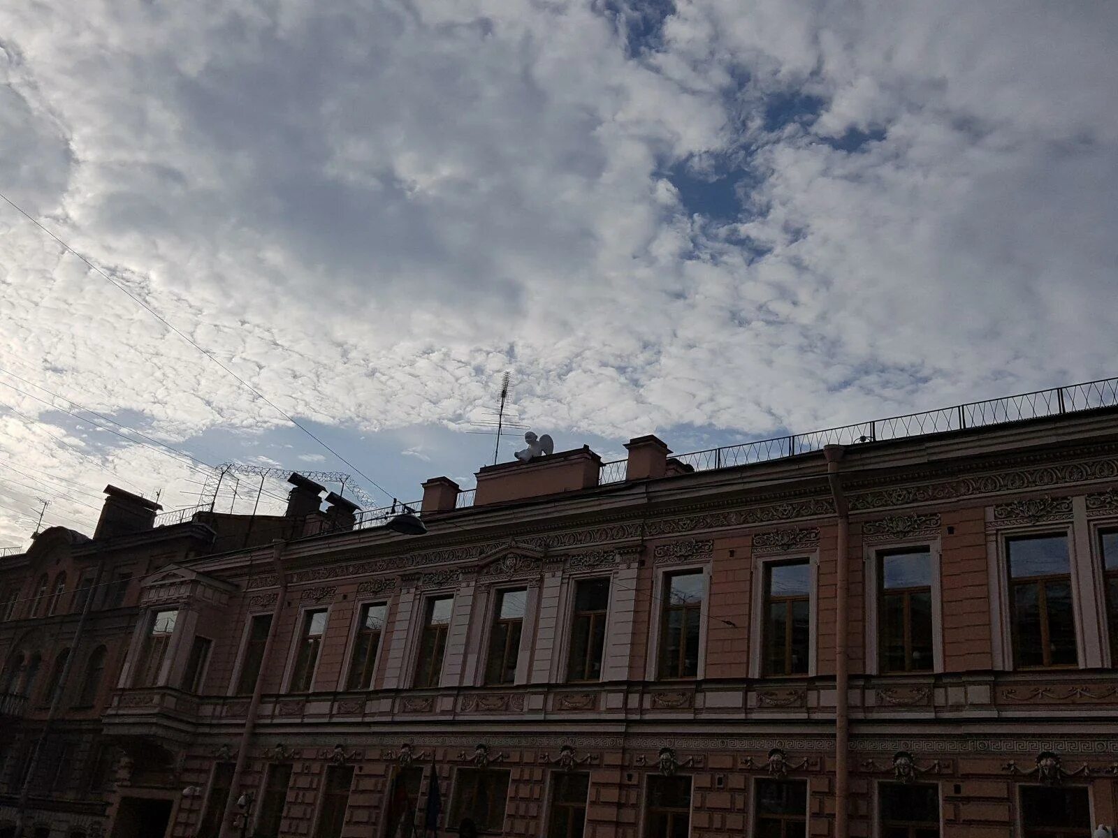 Литовская 6 цветочный. Литовская 6 санкт петербург. , 5. , 8. Питер педиатрический медицинский университет.