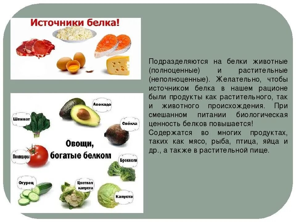 Какой белок является полноценным